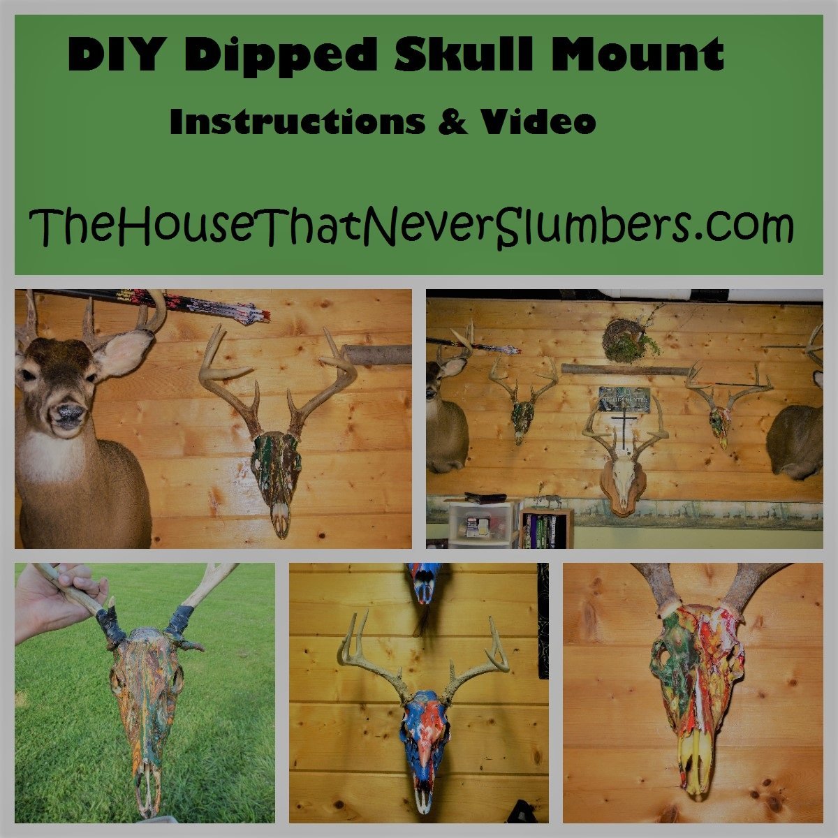 DIY Dipped Deer Skull Mount