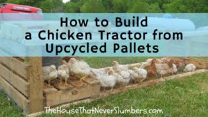 How to Build a Chicken Tractor from Upcycled Pallets - title