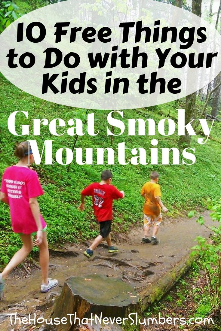 Planning a trip to the Pigeon Forge or Gatlinburg and don't want to spend a fortune on attractions? Check out our favorite free activities! - 10 Free Things to Do with Your Kids in the Great Smoky Mountains - #tennessee #freebie #kidsactivities #hiking #vacation #springbreak