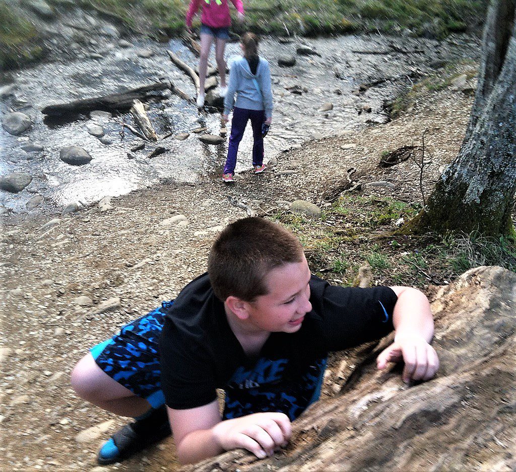 Climbing at Cades Cove Great Smoky Mountains