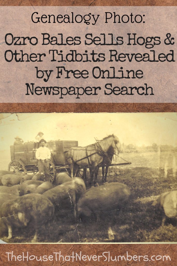 Ozro Bales Sells Hogs - Free Online Newspaper Search - #genealogy #familytree #familyhistory #ancestor #ancestry #indianahistory