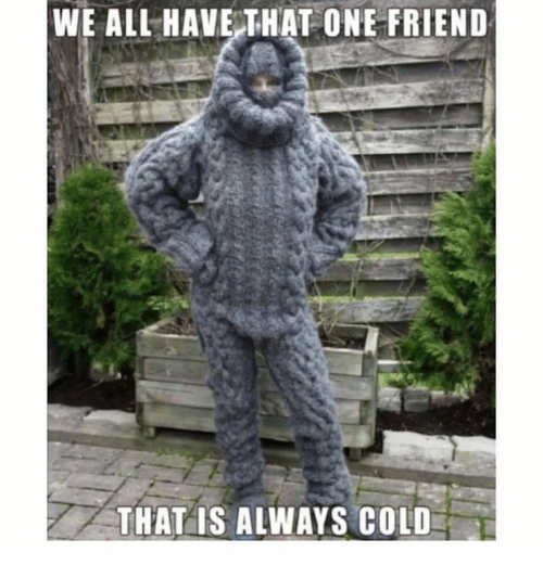 That One Friend Who is Always Cold Meme | The House That Never Slumbers