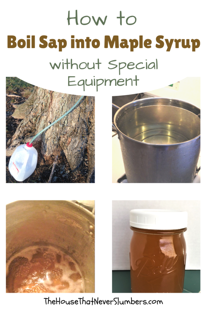 how-to-boil-sap-into-maple-syrup-without-special-equipment-the-house-that-never-slumbers