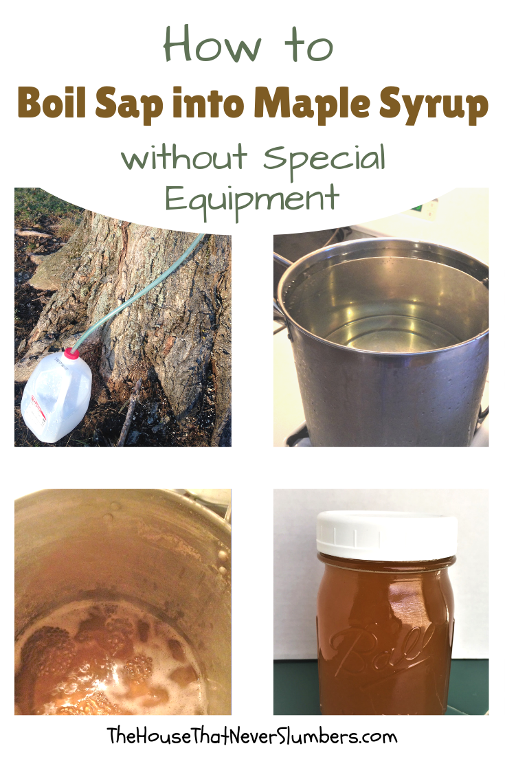 How To Boil Sap Into Maple Syrup Without Special Equipment The House That Never Slumbers 